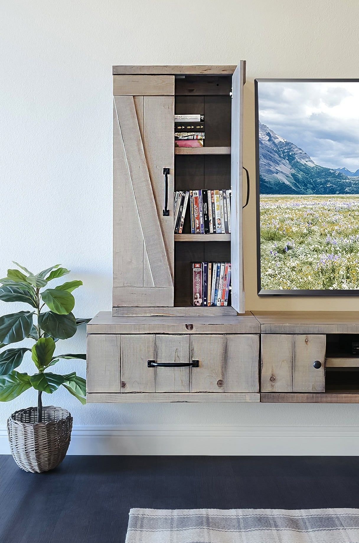 TV Stand Ideas
